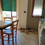 Photo n°2 de l'avis de Barbara.a fait le 03/07/2021 à 13:06 sur le  Residence Oleandro - Pietra Ligure - Liguria à Pietra Ligure