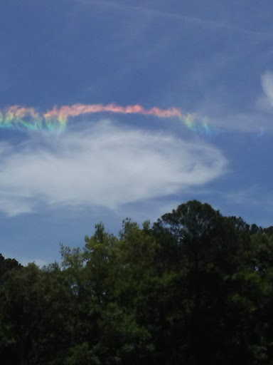 Golf Club «Sea Pines Country Club - Golf Club», reviews and photos, 30 Governors Rd, Hilton Head Island, SC 29928, USA