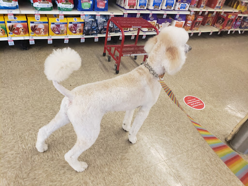 Pet Supply Store «PetSmart», reviews and photos, 9122 Mentor Ave, Mentor, OH 44060, USA