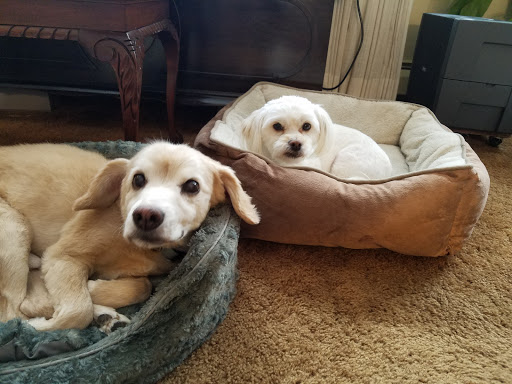 Shopping Mall «Westgate Shopping Center», reviews and photos, W Stadium Blvd, Ann Arbor, MI 48103, USA