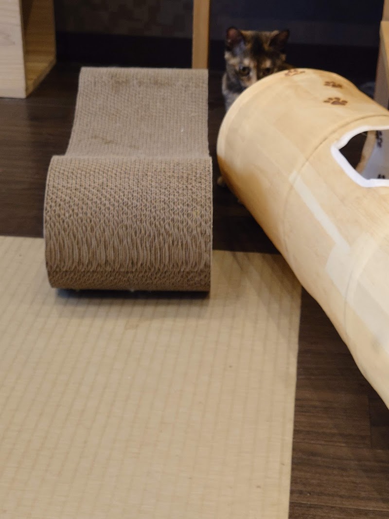 ペットショップcoo Riku 新小岩店 東京都葛飾区新小岩 ペットショップ グルコミ