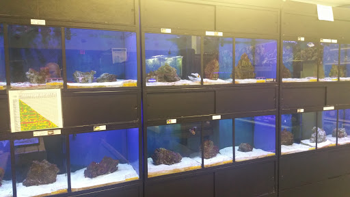 Tropical Fish Store «NOLA Aquatics», reviews and photos, 1705 LA-59 #10, Mandeville, LA 70448, USA