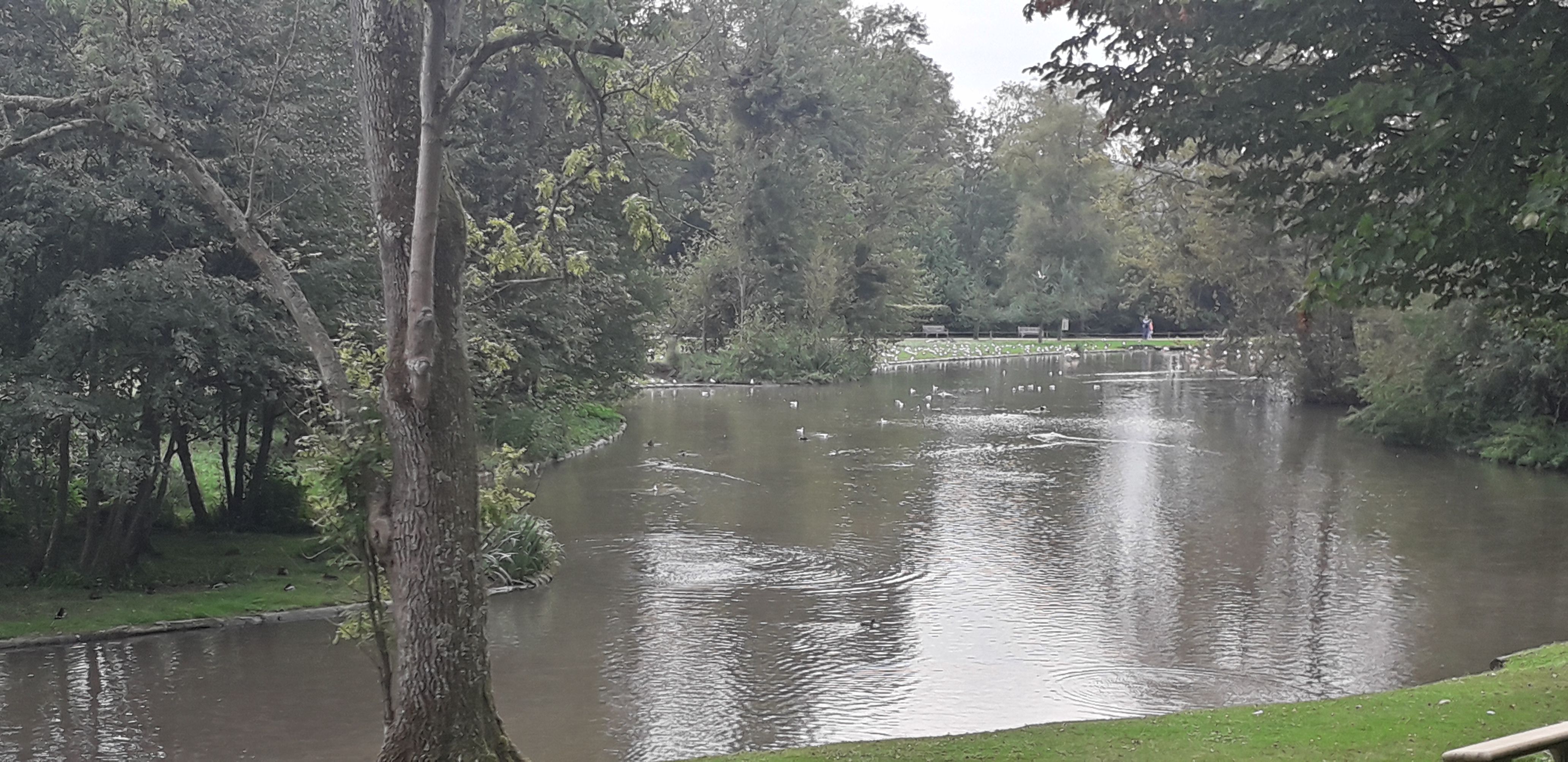 Photo n° 29 de l'avis de lilou.i fait le 19/09/2020 à 16:48