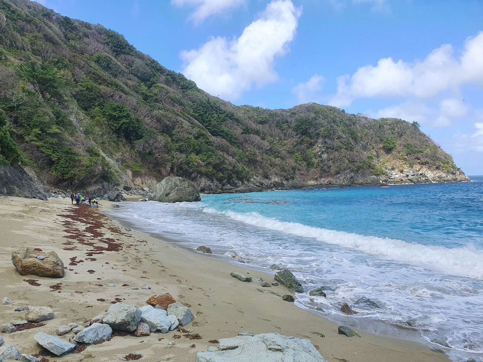 Iguana bay beach的照片 带有碧绿色纯水表面