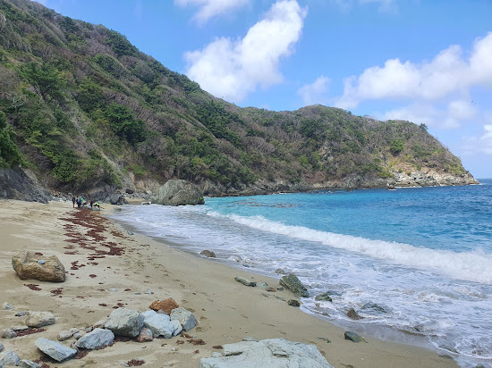 Iguana bay beach