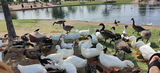 Park «Friendship Park», reviews and photos, 12325 W McDowell Rd, Avondale, AZ 85323, USA