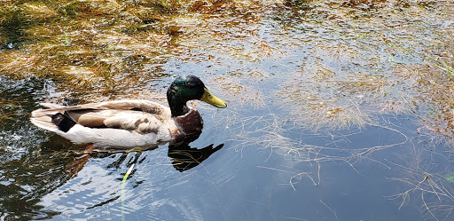 Theme Park «The Great Escape & Splashwater Kingdom», reviews and photos, 89 Six Flags Dr, Queensbury, NY 12804, USA
