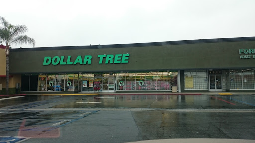 Dollar Store «Dollar Tree», reviews and photos, 4259 Maine Ave, Baldwin Park, CA 91706, USA