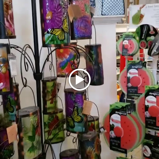 Pet Supply Store «Petco Animal Supplies», reviews and photos, 86 Storrs Rd, Mansfield Center, CT 06250, USA