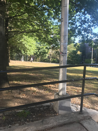 Park «Doughboy Park», reviews and photos, Woodside Ave, Woodside, NY 11377, USA
