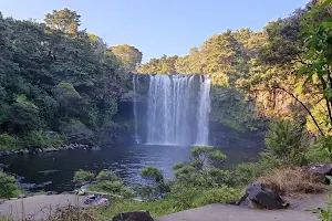 Rainbow Falls (Waianiwaniwa) image
