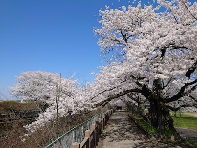 磯部町公園