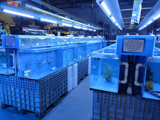 Tropical Fish Store «Aquatic Warehouse», reviews and photos, 5466 Complex St #204, San Diego, CA 92123, USA