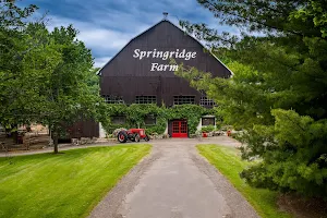 Springridge Farm image