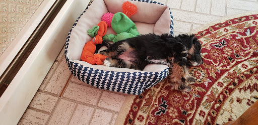 Pet Store «Liberty Agway Pet Center», reviews and photos, 11 Bon Jovi Ln, Liberty, NY 12754, USA