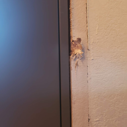 Window Installation Service «Bordner Home Improvement, Inc.», reviews and photos