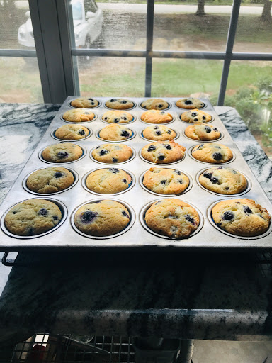 Hostel «Blue Goose Bike Hostel», reviews and photos, 128 E Main St, Irwinton, GA 31042, USA