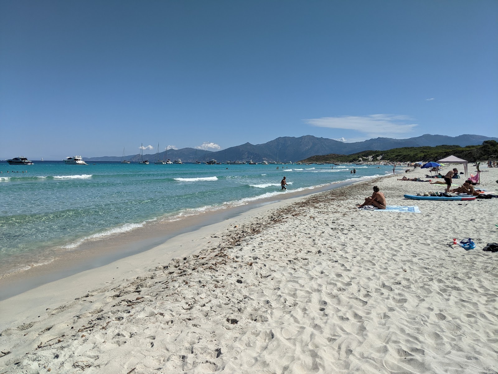 Saleccia beach photo #7