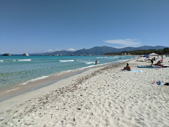 Plage de Saleccia