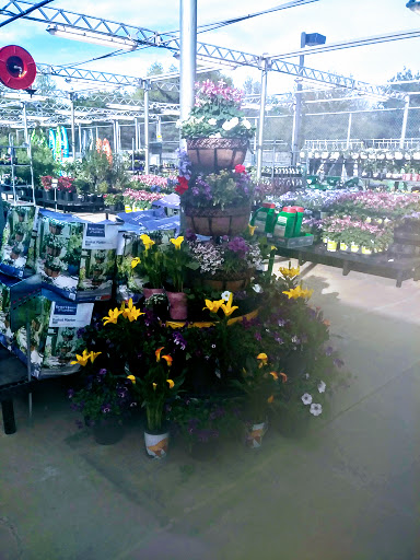 Discount Store «Walmart», reviews and photos, 150 E Rte 70, Marlton, NJ 08053, USA