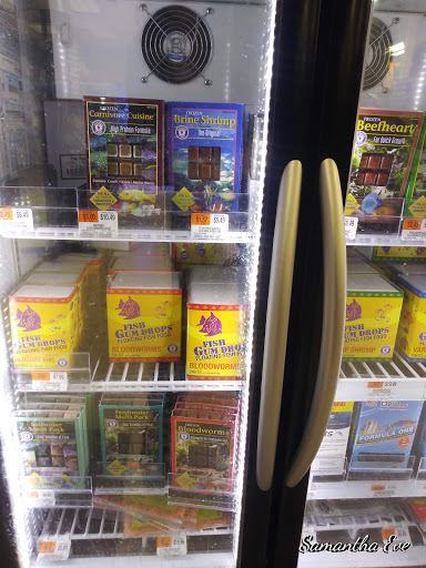 Pet Supply Store «Petco Animal Supplies», reviews and photos, 48 Watertower Plaza, Leominster, MA 01453, USA