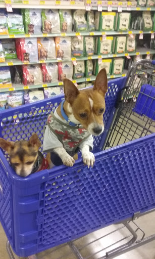 Pet Supply Store «PetSmart», reviews and photos, 11945 Central Ave, Chino, CA 91710, USA