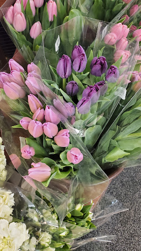 Grocery Store «Albertsons», reviews and photos, 11330 51st Ave NW, Gig Harbor, WA 98332, USA