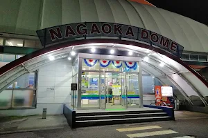 Nagaoka Dome Sports Stadium image