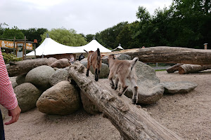 Aalborg Zoo