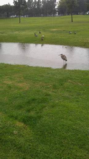 Golf Course «Bixby Village Golf Course», reviews and photos, 6180 Bixby Village Dr, Long Beach, CA 90803, USA