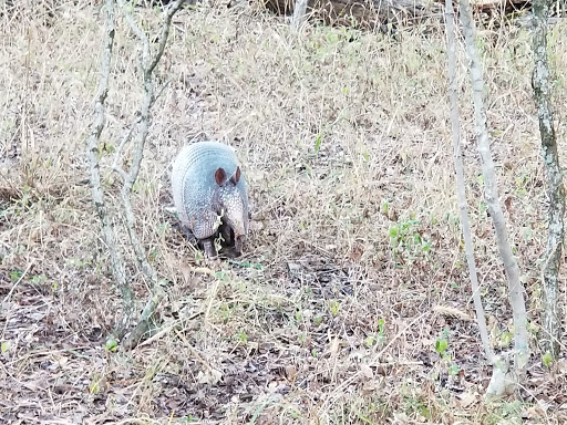 Nature Preserve «Jackson Nature Park», reviews and photos, 9284 County Rd 401, Stockdale, TX 78160, USA