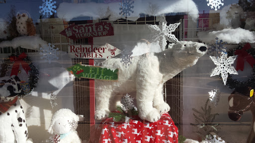 Toy Store «Blue Turtle Toys Inc», reviews and photos, 2314 Far Hills Ave, Dayton, OH 45419, USA