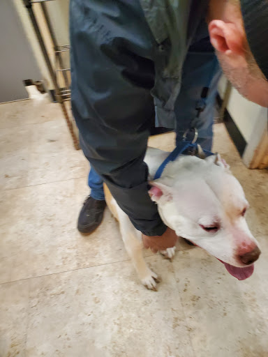 Pet Supply Store «Petco Animal Supplies», reviews and photos, 188 Kitts Ln, Newington, CT 06111, USA