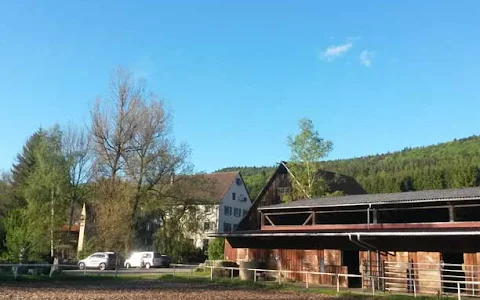 Bruckmühle Ponyreiten image