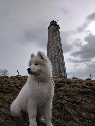 City Park «Lighthouse Point Park», reviews and photos, 2 Lighthouse Rd, New Haven, CT 06512, USA