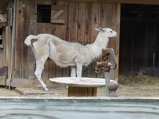 Park «Watkins Regional Park», reviews and photos, 301 Watkins Park Dr, Upper Marlboro, MD 20774, USA