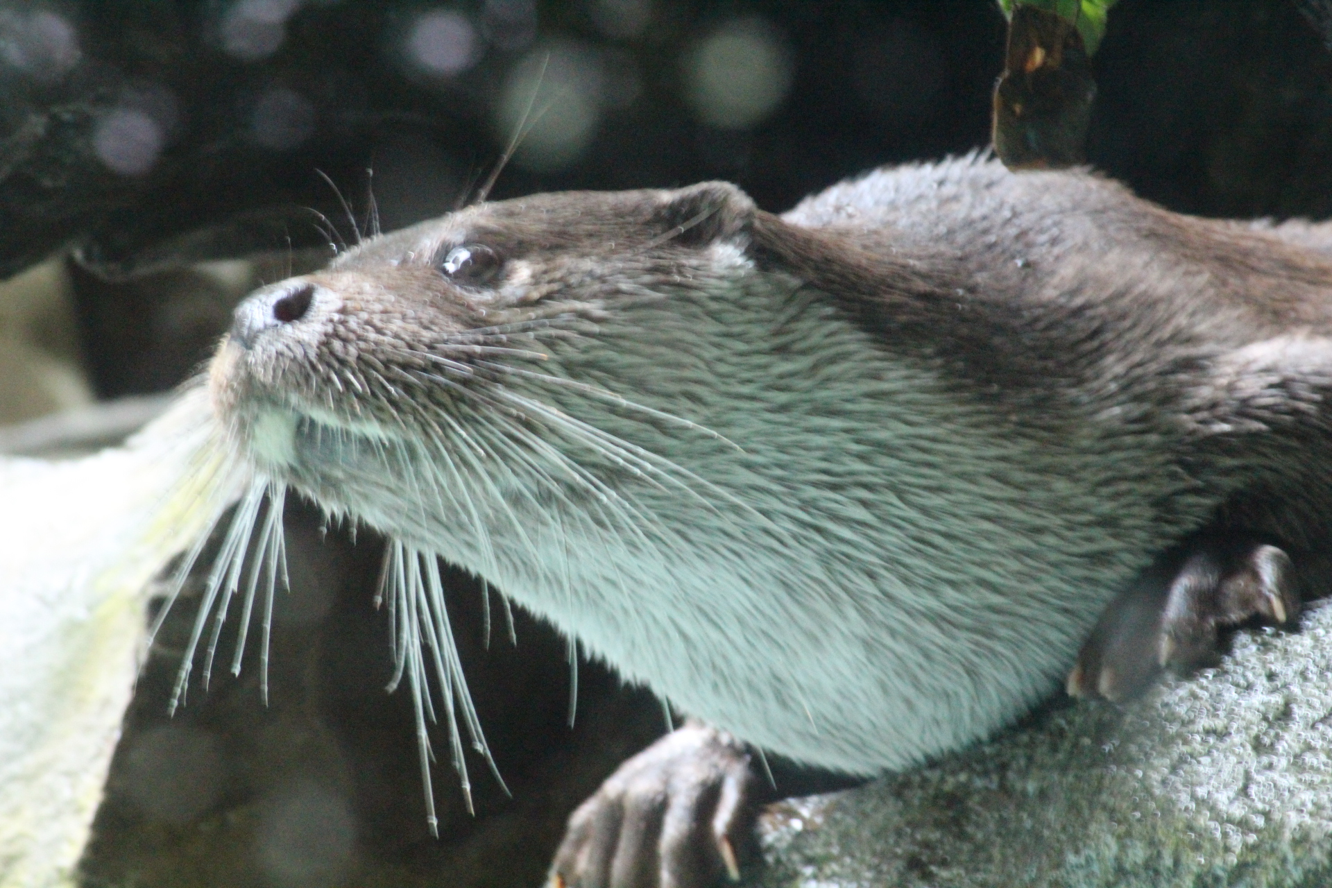 Photo n° 37 de l'avis de David.i fait le 18/11/2019 à 20:29