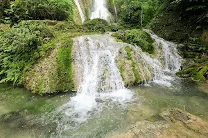 Evergreen Cascades Waterfall image