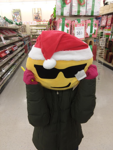 Craft Store «Hobby Lobby», reviews and photos, 4279 Lien Rd, Madison, WI 53704, USA