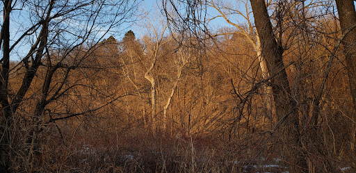 Park «Shadow Falls Park», reviews and photos, 30 N Mississippi River Blvd, St Paul, MN 55104, USA
