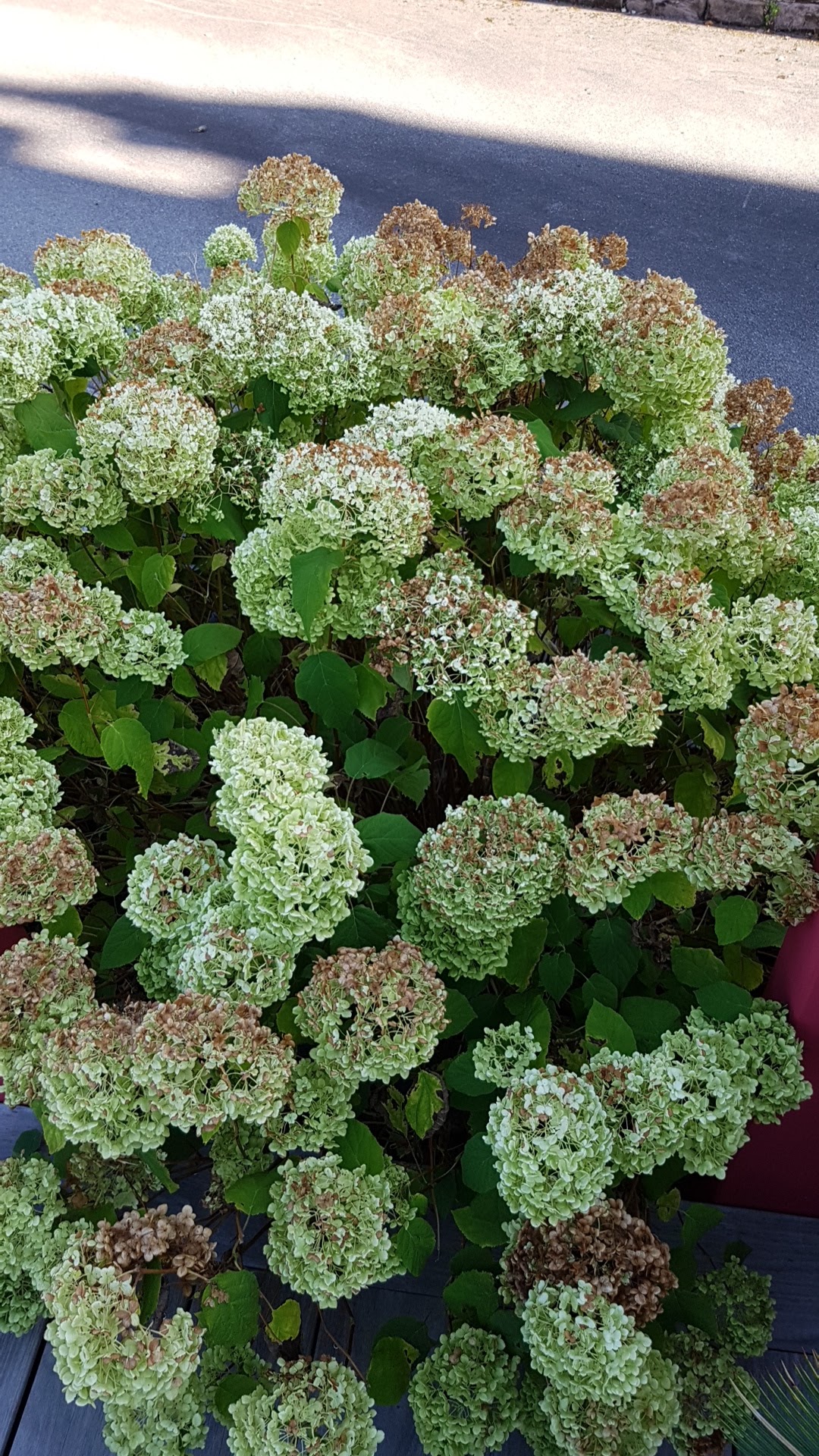 Photo n° 7 de l'avis de hugo.l fait le 20/08/2018 à 15:25