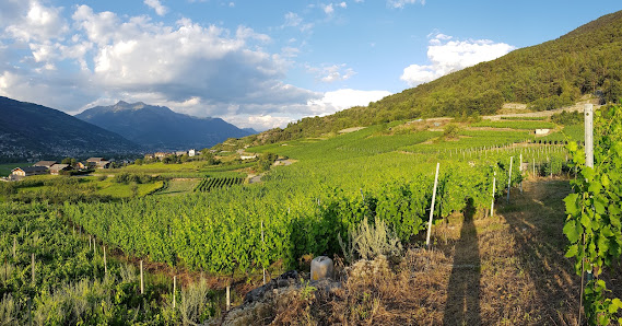 Azienda Vitivinicola Le Clocher di Charrère Danilo Frazione Etral, 2, 11020 Jovençan AO, Italia