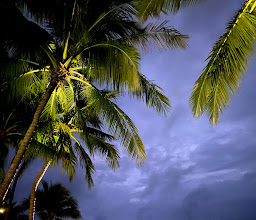 Outrigger Resort photo