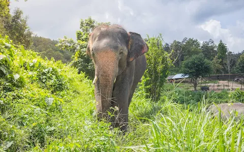 Elephant Sanctuary Thailand - Offices image