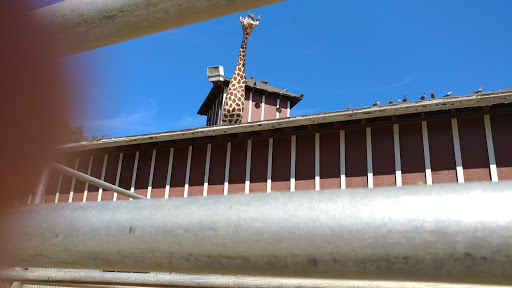 Park «Montebello Barnyard Zoo», reviews and photos, 600 Rea Dr, Montebello, CA 90640, USA