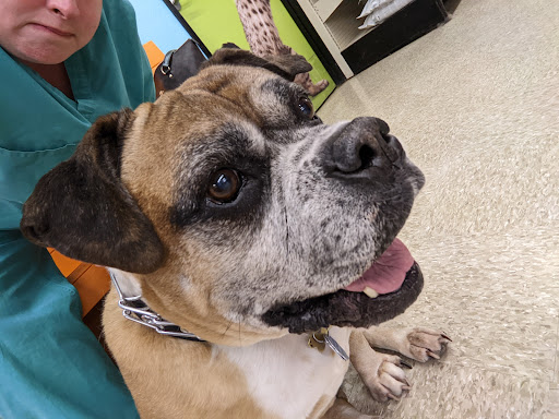 Pet Supply Store «PetSmart», reviews and photos, 45 Park Pl Dr, Covington, LA 70433, USA