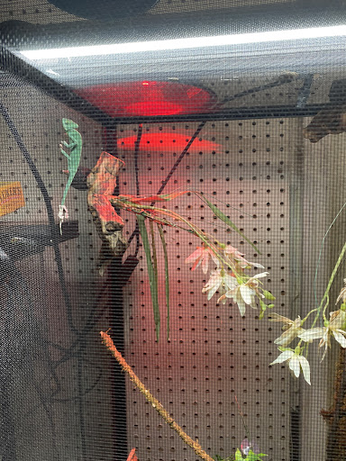 Pet Supply Store «Coastline Pet Supply», reviews and photos, 3530 Northgate Dr, Myrtle Beach, SC 29588, USA