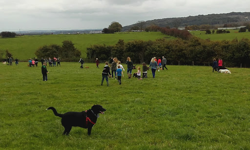 Whinney Hill Kennels