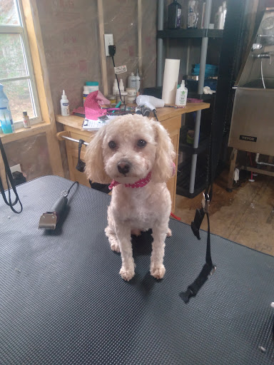 My neighborhood pet grooming salon Llc