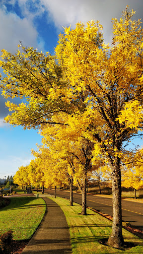 Sporting Goods Store «Demarini Sports», reviews and photos, 6435 NW Croeni Rd, Hillsboro, OR 97124, USA